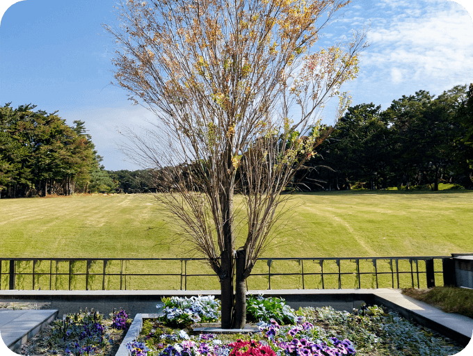 御遺骨を自然に還したい方