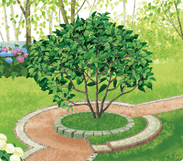 樹木葬 そわかの杜