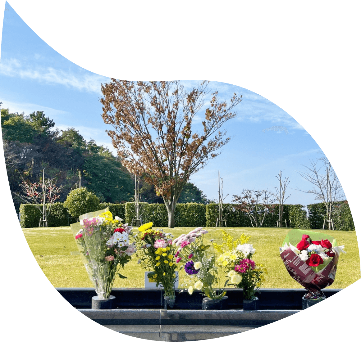 徳源寺の樹木葬の様子