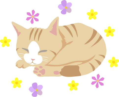 撫子のイラスト